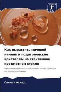 bokomslag &#1050;&#1072;&#1082; &#1074;&#1099;&#1088;&#1072;&#1089;&#1090;&#1080;&#1090;&#1100; &#1084;&#1086;&#1095;&#1077;&#1074;&#1086;&#1081; &#1082;&#1072;&#1084;&#1077;&#1085;&#1100; &#1080;