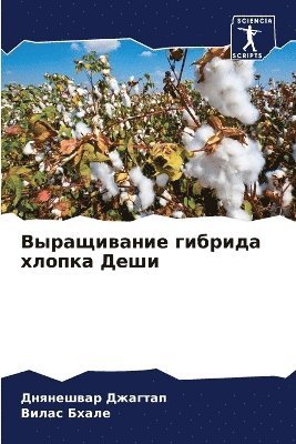 Выращивание гибрида хлопка Деши