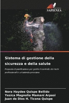 Sistema di gestione della sicurezza e della salute