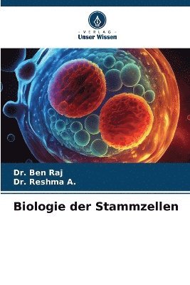 bokomslag Biologie der Stammzellen