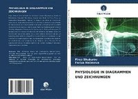 bokomslag Physiologie in Diagrammen Und Zeichnungen