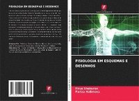 bokomslag Fisiologia Em Esquemas E Desenhos