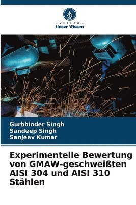 Experimentelle Bewertung von GMAW-geschweißten AISI 304 und AISI 310 Stählen