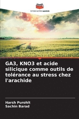 GA3, KNO3 et acide silicique comme outils de tolérance au stress chez l'arachide