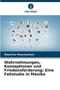 bokomslag Wahrnehmungen, Konzeptionen und Friedensfrderung