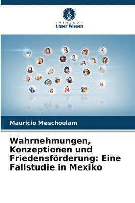 bokomslag Wahrnehmungen, Konzeptionen und Friedensförderung