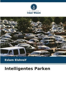 bokomslag Intelligentes Parken
