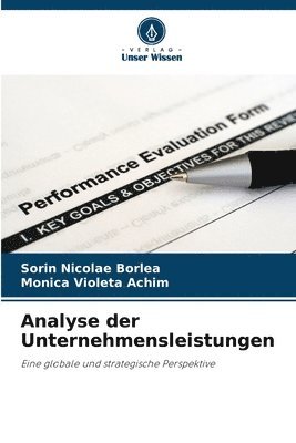 bokomslag Analyse der Unternehmensleistungen