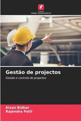 bokomslag Gesto de projectos