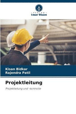 bokomslag Projektleitung