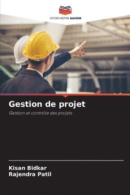 bokomslag Gestion de projet