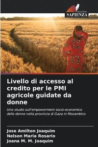 bokomslag Livello di accesso al credito per le PMI agricole guidate da donne