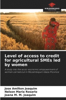 bokomslag Level of access to credit for agricultural SMEs led by women