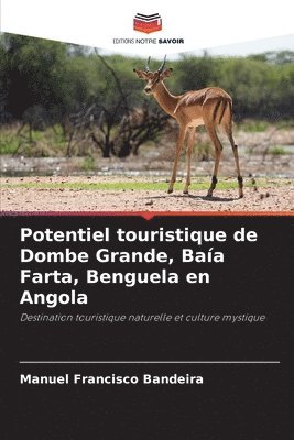 bokomslag Potentiel touristique de Dombe Grande, Baa Farta, Benguela en Angola