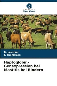 bokomslag Haptoglobin-Genexpression bei Mastitis bei Rindern