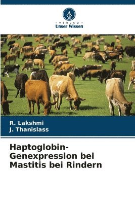 bokomslag Haptoglobin-Genexpression bei Mastitis bei Rindern