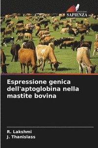 bokomslag Espressione genica dell'aptoglobina nella mastite bovina