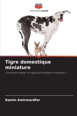 bokomslag Tigre domestique miniature