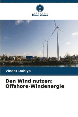 Vineet Dahiya - Den Wind nutzen, Häftad