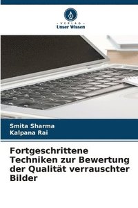 bokomslag Fortgeschrittene Techniken zur Bewertung der Qualität verrauschter Bilder