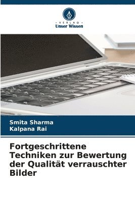 bokomslag Fortgeschrittene Techniken zur Bewertung der Qualitt verrauschter Bilder