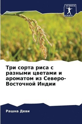 Рашна Деви, Р Деви, ¿¿¿¿¿ ¿¿¿¿ - Три сорта риса с разными цветами и аромато
, Häftad