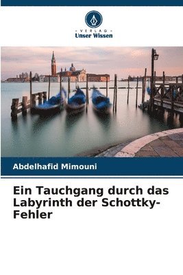 bokomslag Ein Tauchgang durch das Labyrinth der Schottky-Fehler