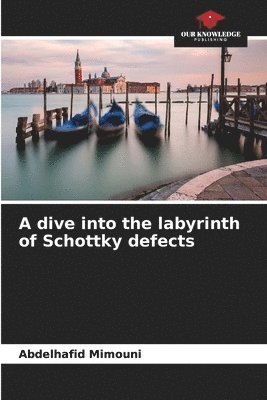 Abdelhafid Mimouni - dive into the labyrinth of Schottky defects, Häftad