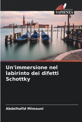 bokomslag Un'immersione nel labirinto dei difetti Schottky