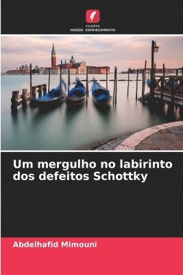 bokomslag Um mergulho no labirinto dos defeitos Schottky