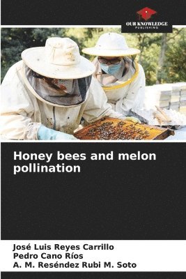 Honey bees and melon pollination 1