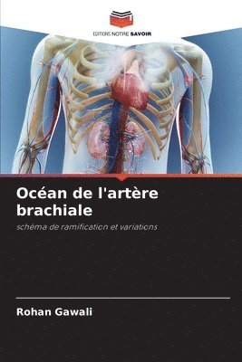 Océan de l'artère brachiale