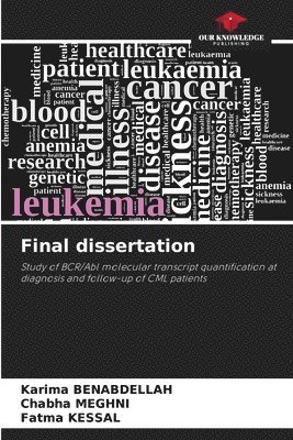 bokomslag Final dissertation