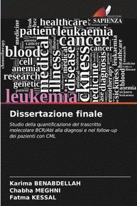 bokomslag Dissertazione finale