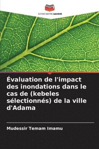 bokomslag valuation de l'impact des inondations dans le cas de (kebeles slectionns) de la ville d'Adama