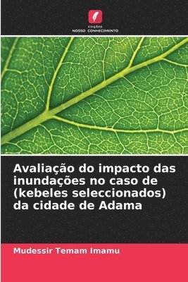 bokomslag Avaliao do impacto das inundaes no caso de (kebeles seleccionados) da cidade de Adama