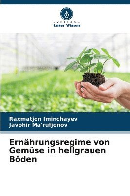 Ernährungsregime von Gemüse in hellgrauen Böden