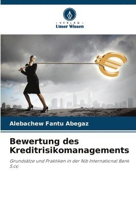 Alebachew Fantu Abegaz - Bewertung des Kreditrisikomanagements, Häftad