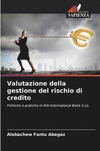 bokomslag Valutazione della gestione del rischio di credito