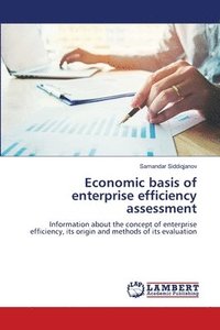 bokomslag Economic basis of enterprise efficiency assessment