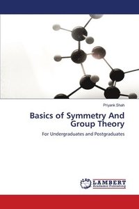 bokomslag Basics of Symmetry And Group Theory