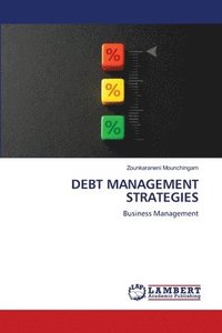 bokomslag Debt Management Strategies