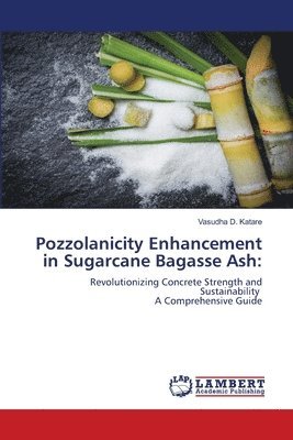 bokomslag Pozzolanicity Enhancement in Sugarcane Bagasse Ash