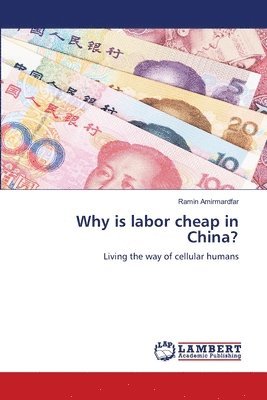 Why is labor cheap in China? 1