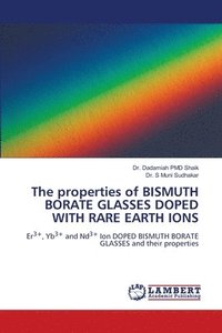 bokomslag The properties of BISMUTH BORATE GLASSES DOPED WITH RARE EARTH IONS