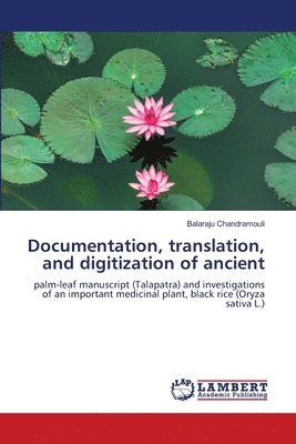 bokomslag Documentation, translation, and digitization of ancient