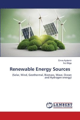 bokomslag Renewable Energy Sources