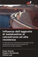 bokomslag Influenza dell'aggiunta di metakaolino al calcestruzzo ad alta resistenza