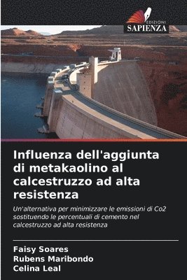 Faisy Soares, Rubens Maribondo, Celina Leal - Influenza dell'aggiunta di metakaolino al calcestruzzo ad alta resistenza, Häftad
