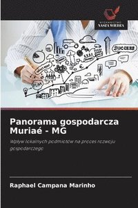 bokomslag Panorama gospodarcza Muriaé - MG